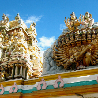 Rytinė pakrantė - Trinkomalis