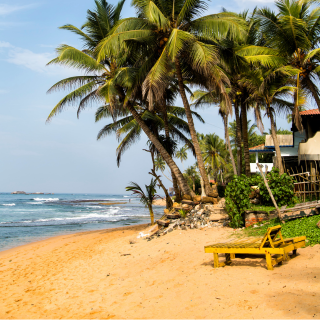 Šiaurės rytų pakrantė - Pasikuda