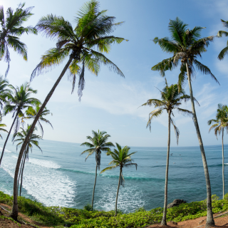 Vakarų pakrantė - Ahungala