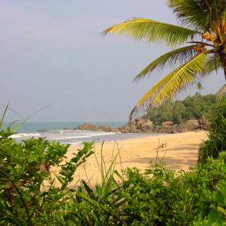 Vakarų pakrantė - Induruva