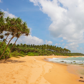 Vakarų pakrantė - Kosgoda