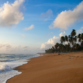 Vakarų pakrantė - Vaduva